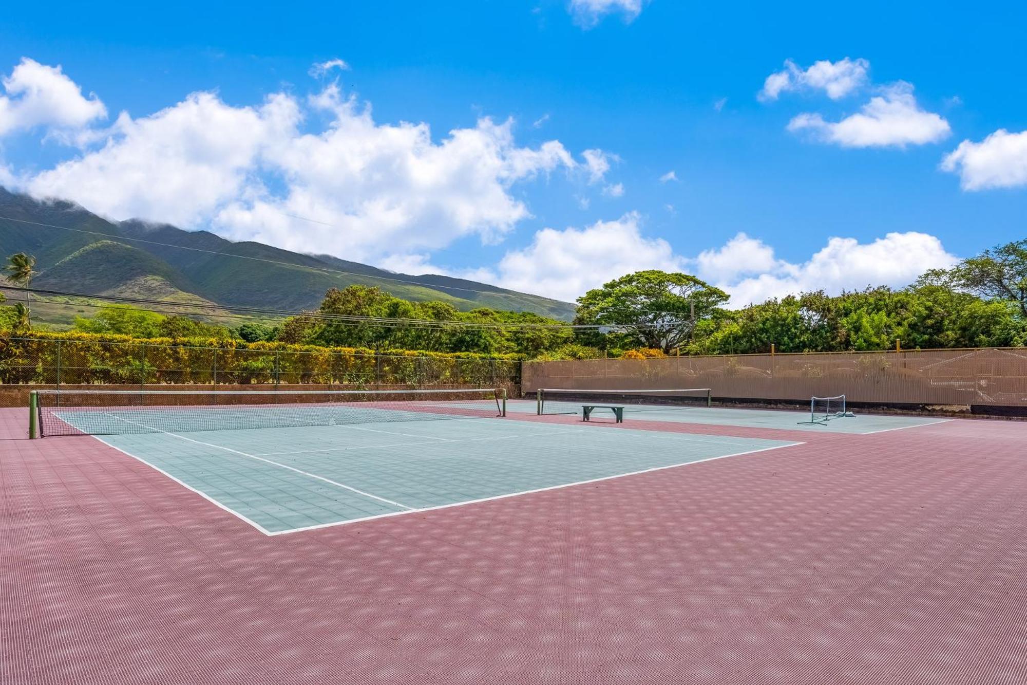 カウナカカイWavecrestアパートメント 部屋 写真